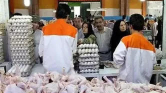 وزیر مجبور شد مرغ گران بخرد / دلیل گرانی مرغ قطعی برق است ؟