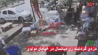 ببینید؛ لحظه سرقت گردنبند زن میانسال در خیابان مولوی تهران