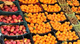 قیمت میوه در میادین تره بار امروز + جدول