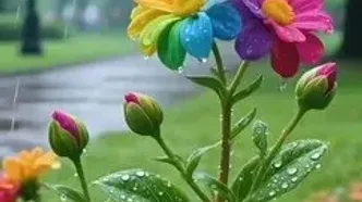 فال ابجد امروز دوشنبه 20 مرداد