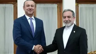 دیدار گریگوریان با عراقچی
