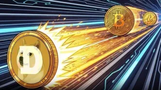 دوج کوین روی کدام شبکه است؟ بررسی کامل شبکه انتقال DOGE