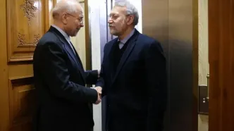همکاری مجلس و شورای عالی امنیت ملی در دستور کار قرار گرفت