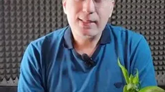 قیمت طلا، قیمت سکه، قیمت دلار امروز ۳ شهریور ۱۴۰۴ + ویدئو