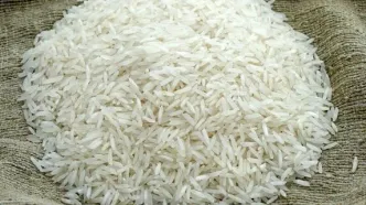لغو ممنوعیت واردات برنج؛ ثبت سفارش‌ها از دوشنبه