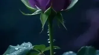تفسیر فال حافظ 17 مرداد