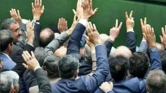 اعتراض تندرو‌ها به سایت رهبری در پی انتشار عکس شهید نیلوفر قلعه‌وند