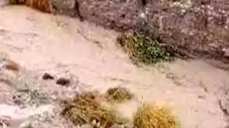 بارش شدید مونسون مردم این منطقه را گرفتار کرد
