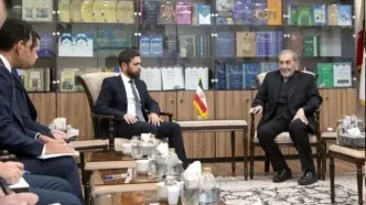 ولایتی در دیدار معاون وزیر خارجه ارمنستان: هر تحولی در نزدیک مرزهایمان  را به دقت زیر نظر داریم و هر اقدامی که امنیت ملی ما را مخدوش کند پاسخی درخور خواهد یافت
