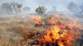 آتش‌سوزی مراتع ساوجبلاغ؛ علت چه بود؟
