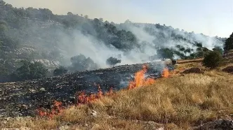 آتش‌ سوزی طالقان مهار شد