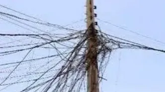 شناسایی ۸۰۰۰ انشعاب غیرمجاز برق در استان تهران
