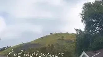نگاهی به چیدمان کاخ سفید پریچهر قنبری بعد جدایی از شهاب حسینی/ شیشه دکوراتیو درب ورودی، کتابخونه بزرگ، سنبل عشق، رومیزی فرانسوی، تابلو دیواری کوبیسم، لوستر شاخه ای و...