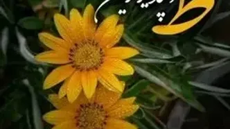فال روزانه 22 مرداد ماه