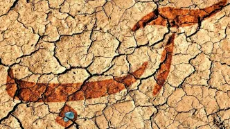 مافیای قدرتمند، پشت پرده کم آبی در ایران | هر سد جدید یعنی قراردادهای کلان، زمین‌های کشاورزی گران‌تر و قدرت سیاسی بیشتر