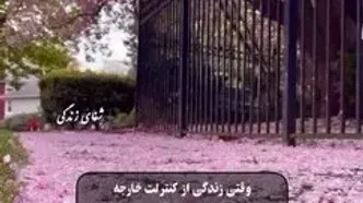 فال حافظ 21 مرداد با تفسیر