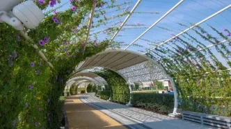 ابتکار قطری‌ها برای مقابله با گرمای تابستان + فیلم