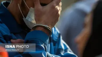 سارقان جنت آباد دستگیر شدند