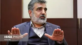کمالوندی: بازرسان آژانس بر تعویض سوخت نیروگاه اتمی بوشهر نظارت می‌کنند