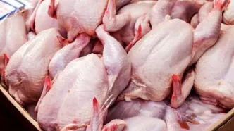قیمت مرغ، گوشت سفید و تخم مرغ در بازار + جدول