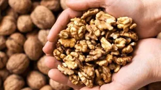 ممنوعیت خرید و فروش گردو در این شهرستان
