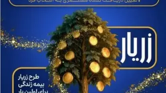 نوآوری بیمه پارسیان در حمایت از خانواده‌ها با ارایه «طرح زریار»