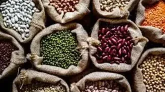 چگونه حبوبات سلامت پیری را پشتیبانی می‌کنند؟