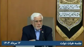 ببینید| عارف: مردم باید در جریان کارهای دولت قرار بگیرند