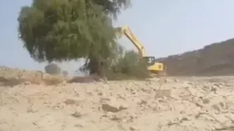 فاجعه درخت‌کُشان در هرمزگان به بهانه کاهش خطر سیل!