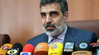 تعویض سوخت نیروگاه بوشهر با حضور ناظران آژانس اتمی