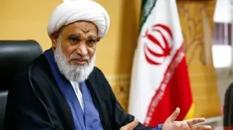 عضو مجلس خبرگان رهبری: هر چه تحریم‌ها بیشتر شود، جمهوری اسلامی پیشرفت سریعتری خواهد داشت