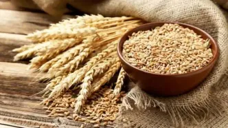 چرا نرخ خرید تضمینی گندم در شورای قیمت‌گذاری تعیین نشده است؟