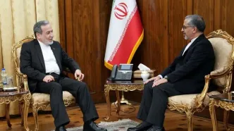 دیدار سفیر ایران در ژاپن با عراقچی
