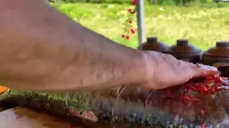 ببینید؛ غذای روستایی در آذربایجان؛ کباب ماهی کپور نقره ای در تنور در طبیعت