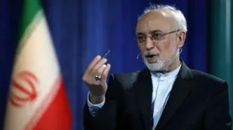 علی اکبر صالحی: ایده ظریف برای کنسرسیوم هسته ای، حرف جدیدی نیست؛ از قبل انقلاب مطرح بود