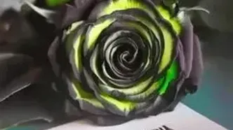فال ابجد محشر 6 شهریور