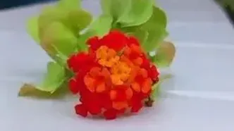 فال حافظ یکم شهریور 1404