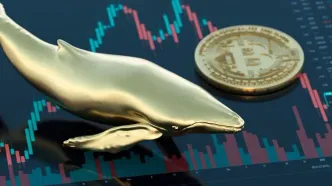 احتمال تثبیت قیمت بیت‌کوین در کوتاه‌مدت | نهنگ ها فعلا فروشنده نیستند
