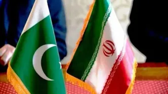 همکاری کشاورزی ایران و پاکستان؛ تمرکز بر امنیت غذایی و تبادل فناوری