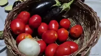 ببینید؛ غذای روستایی در ایران؛ پخت نان سنتی و خوراک گوجه و بادمجان توسط زوج روستایی