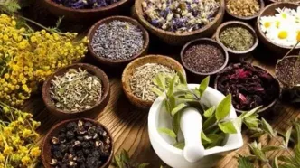 نسخه طب سنتی برای درمان بواسیر و قطع فوری خونریزی آن