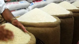 کاهش قابل توجه برنج ایرانی