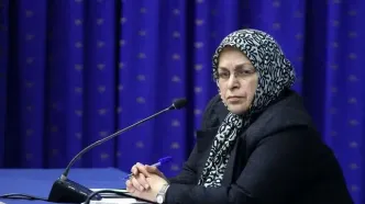توئیت آذر منصوری در واکنش به صحبت‌های رئیس قوه قضائیه