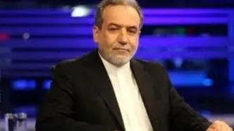 عباس عراقچی: با هزینه خودم برای زیارت به کربلا آمدم/ ویدئو
