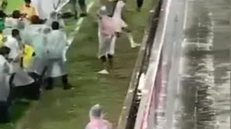 شادی گل احمقانه +فیلم