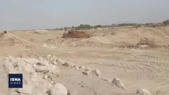 پرونده قطع درختان کهور به دادگستری رفت