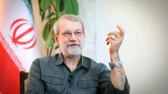 لاریجانی: رئیس فعلی آژانس بین‌المللی انرژی اتمی چک سفید به دشمنان داده است، آتش بیار معرکه بود