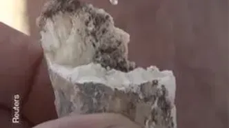 ببینید؛ کشف فک انسان ۱.۸ میلیون ساله در گرجستان