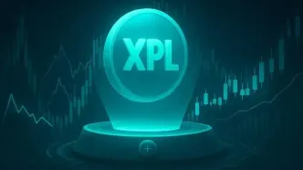 سود ۱۶ میلیون دلاری در کمتر از یک دقیقه! پشت پرده جهش ۲۱۰ درصدی XPL کیست؟