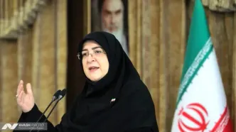 مهاجرانی: قطعنامه ۲۲۳۱ به پایان رسید